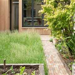 The Living Building Challenge: Transforming Your Home or Building into an Eco-Friendly Oasis