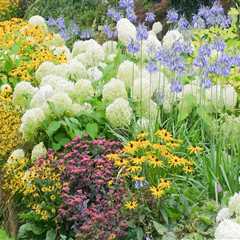 How to Create a Stunning Perennial Flower Bed