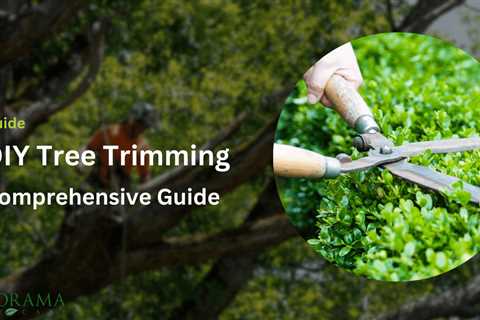 DIY Tree Trimming: A Comprehensive Guide to Safe and Effective Tree Pruning