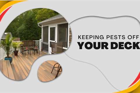 Preserving Your Peace: Keeping Carpenter Ants and Other Pests Off Your Deck in Kitchener
