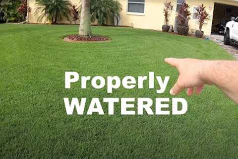 How Much Should I Water My Lawn? | Lawn Watering Tips