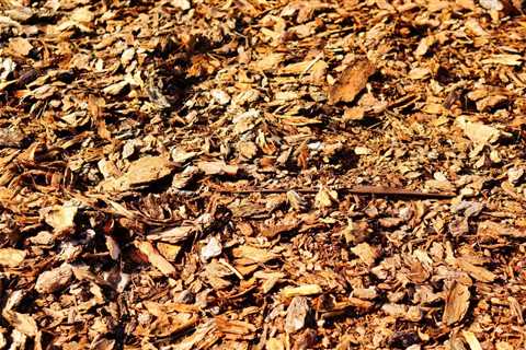UNDERSTANDING THE DIFFERENT TYPES OF TREE MULCH