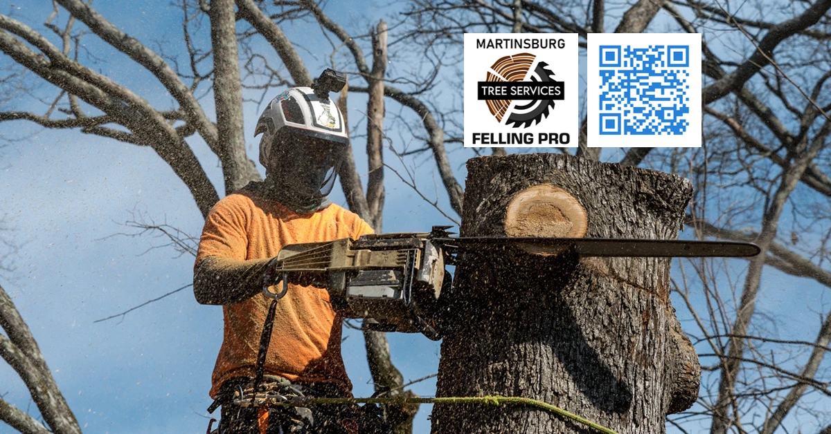 Tree Trimming - Berkeley Felling Pro