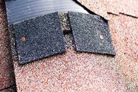 Do shingle roofs need maintenance?