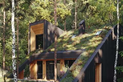 How to Create a Sustainable and Energy-Efficient Home with Living Roofs