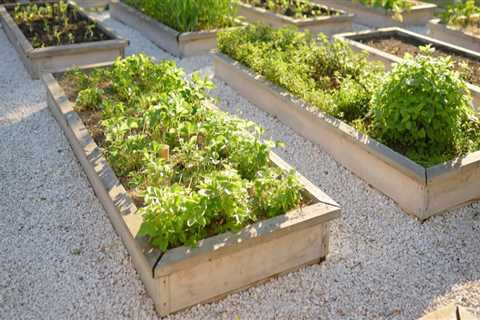 Building Raised Garden Beds: A Beginner's Guide to Transforming Your Outdoor Space