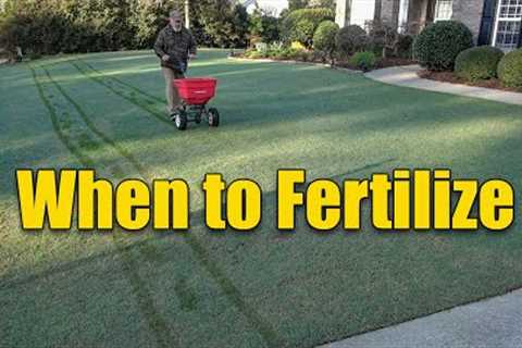 When to Fertilize Your Lawn Spring