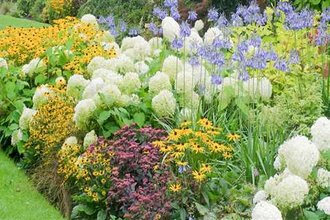 How to Create a Stunning Perennial Flower Bed