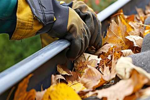 Cleaning Gutters and Downspouts: The Ultimate Guide to Home Maintenance