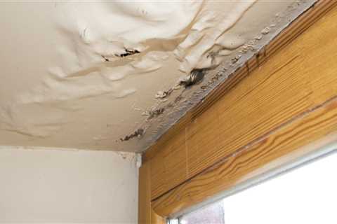 Leaks and Water Damage: What You Need to Know