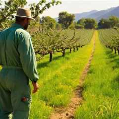 8 Essential Strategies for Pest Management in Organic Orchards