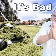 My Lawn Is DESTROYED and It''s My FAULT