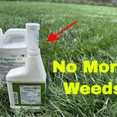 Get rid of weeds in your lawn fast