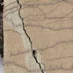 How Basement Crack Repair Providers Impact Commercial Cleaning Services In Toronto