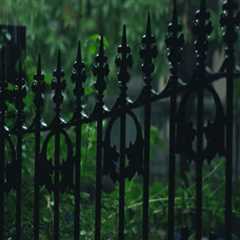 Expert Tips for Saving Money on Your New Fence