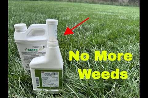 Get rid of weeds in your lawn fast