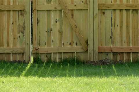 The Best Budget-Friendly Fencing Options for Your Garden