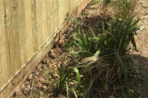 The Ultimate Guide to Installing a Fence by Yourself