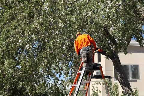 Tree Trimming Grantsville UT 84029