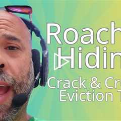 Crack and Crevice Control: The Key to Effective Roach Elimination!