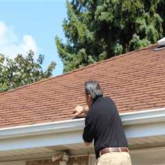 Don't Skip Mold Inspection When Repairing Your Roof In Crystal Lake, IL