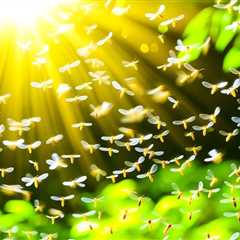 Seeing Flying Termites In South Florida