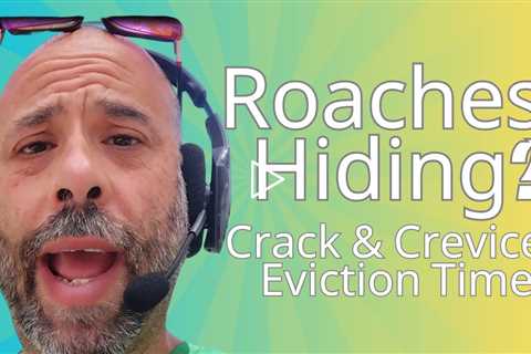 Crack and Crevice Control: The Key to Effective Roach Elimination!