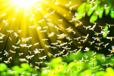 Seeing Flying Termites In South Florida