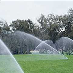 Landscaping Wellington: The Importance of Drainage and Irrigation