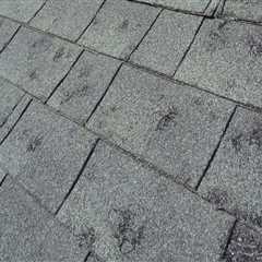 The Importance Of Timely Roof Hail Damage Repair For Preventing Mold In Northern Virginia