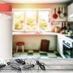 7 Boric Acids To Control Pests