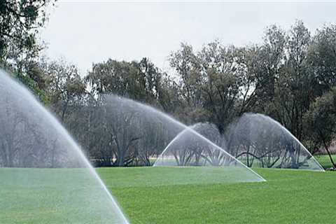 Landscaping Wellington: The Importance of Drainage and Irrigation