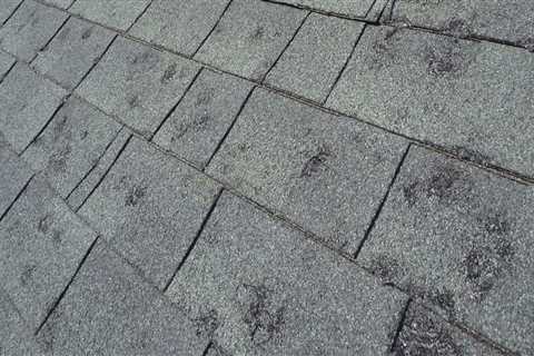 The Importance Of Timely Roof Hail Damage Repair For Preventing Mold In Northern Virginia