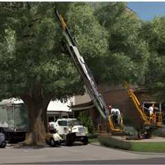 THE PROS AND CONS OF USING MECHANICAL EQUIPMENT FOR TREE SERVICES