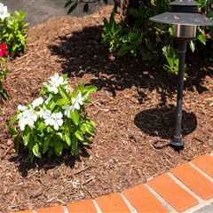 Mulching And Landscape Lighting: The Perfect Pair For Northern Virginia Gardens