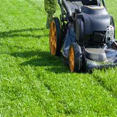 The Importance of Regular Lawn Care Services: How Often Should You Mow Your Lawn?