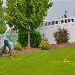 The Truth About Lawn Care Services and Landscaping