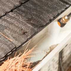 Gutter Cleaning  Dalgety Bay Whether You'Re Dealing With A Blocked Down Pipe Or Need Routine..