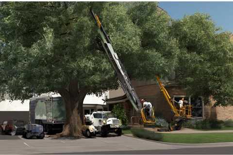 THE PROS AND CONS OF USING MECHANICAL EQUIPMENT FOR TREE SERVICES