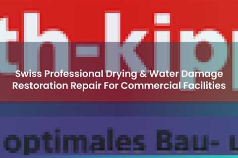 Swiss Professional Drying Water Damage Restoration Repair For Commercial Facilities https www..