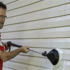 How to Effectively Remove Black Streaks and Mold from Your Home's Exterior