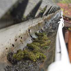 Sighthill Gutter Cleaning Whether You'Re Dealing With A Blocked Down Pipe Or Need Routine..