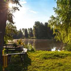 Why Choose Professional Tree Maintenance Services In Belle Isle For Forestry Mulching