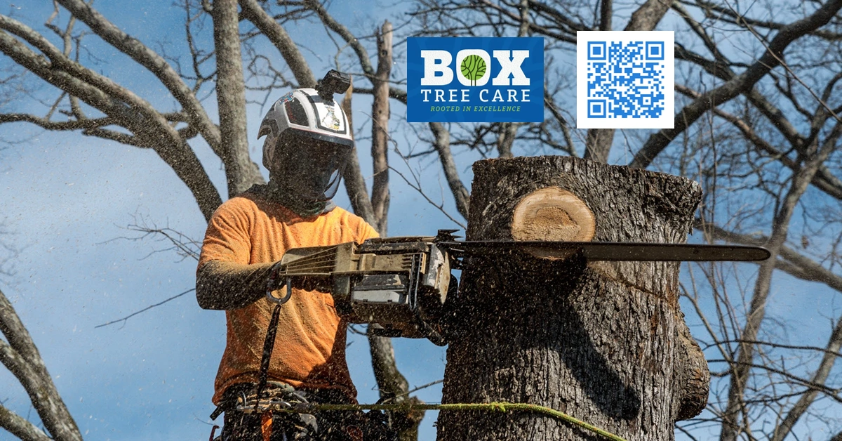 Contact Us - Box Tree Care