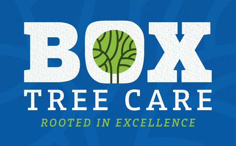 Tree Service - Leander, TX - Box Tree Care