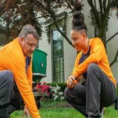 Benefits of Hiring Trained Professionals for Landscaping and Tree Services