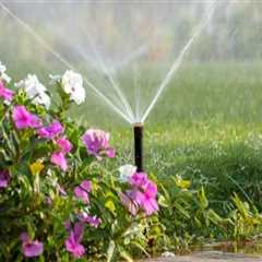 Proper Watering and Fertilization for a Beautiful Outdoor Space