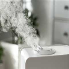 Humidifiers and Dehumidifiers: A Complete Guide to Regulating Indoor Air Quality
