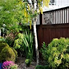 Dealing with Weeds and Pests: Transforming Your Outdoor Space into a Beautiful Oasis