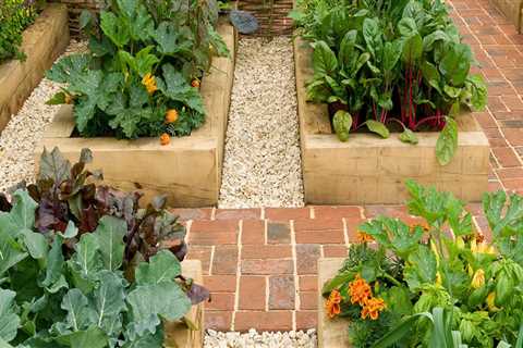 DIY Raised Garden Bed Construction: Tips and Ideas for Home and Garden Improvement